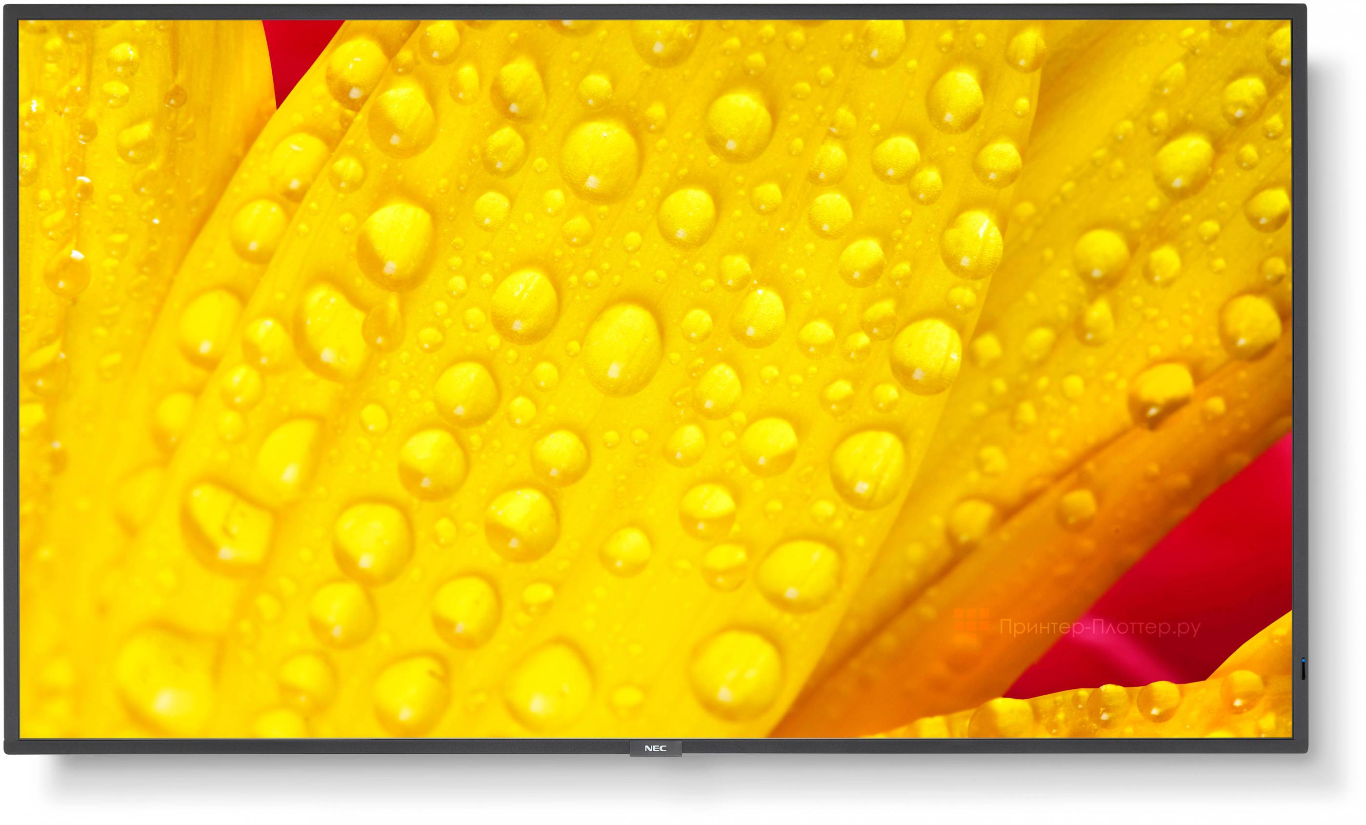 Информационная панель NEC MultiSync ME551 (ctc_60005057)