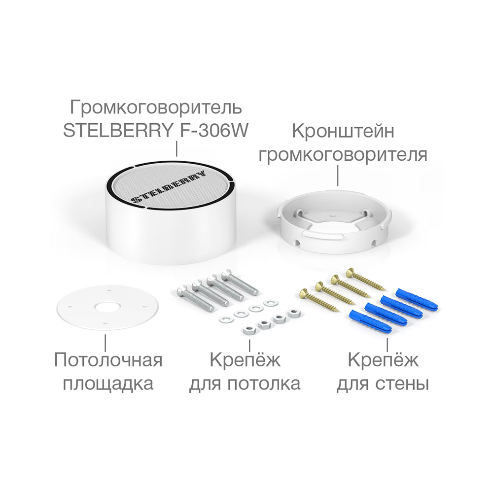 Потолочно-настенный громкоговоритель F-306W