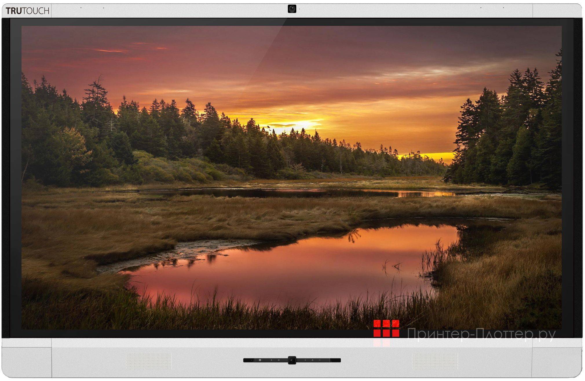 Интерактивная панель Newline TruTouch X8 (DGS X8+S044P832)