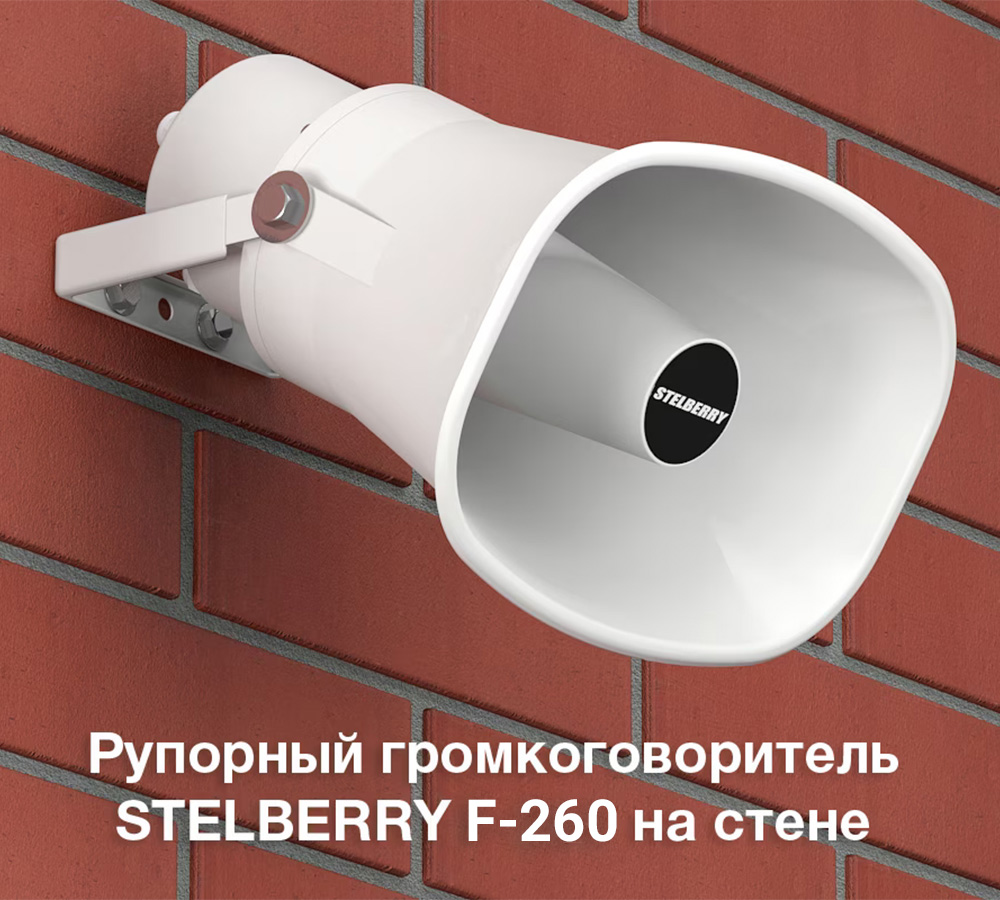 Рупорный громкоговоритель F-263