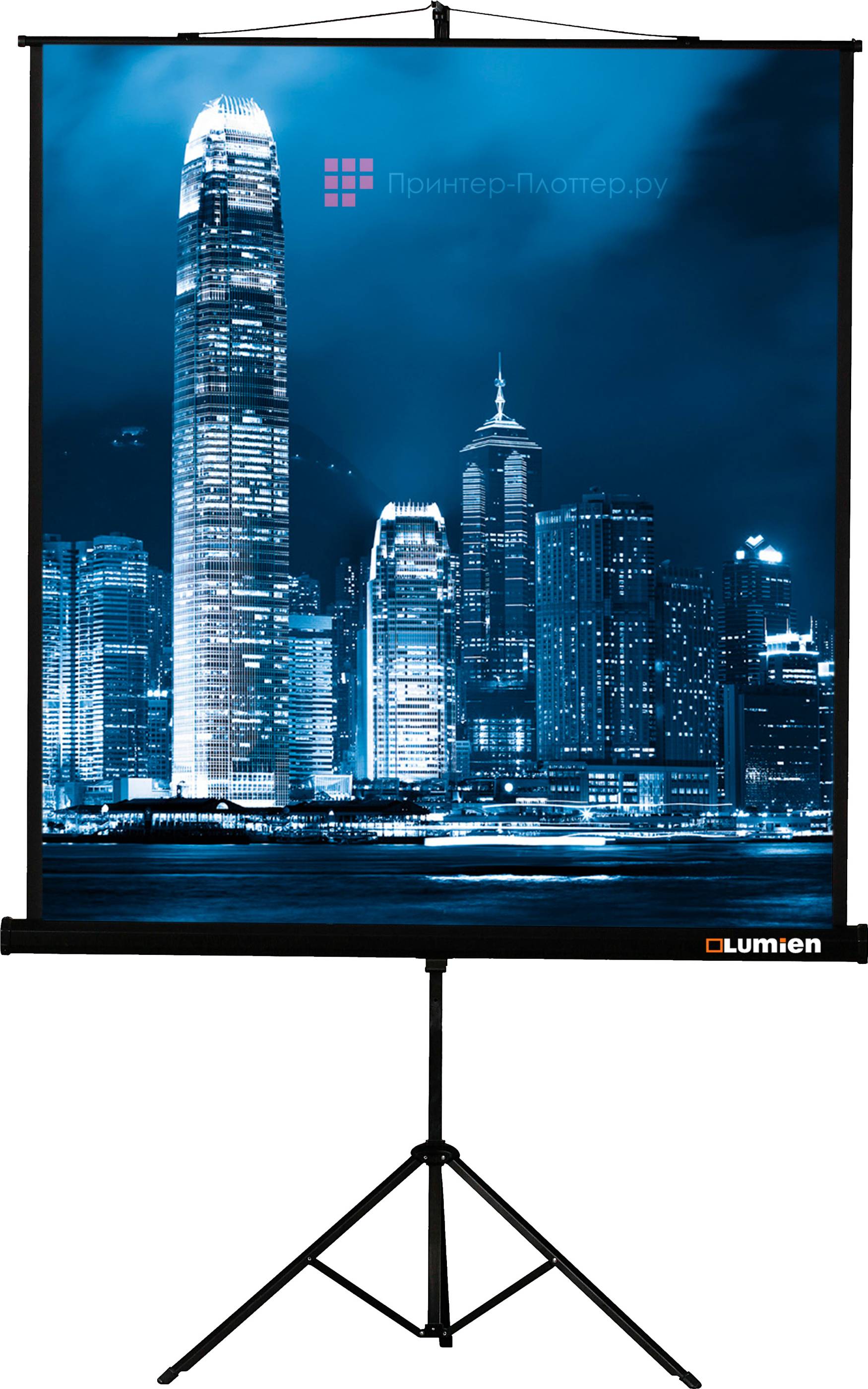 Экран Lumien Master View LMV-100106, 4:3, 81 (AVX 49132)