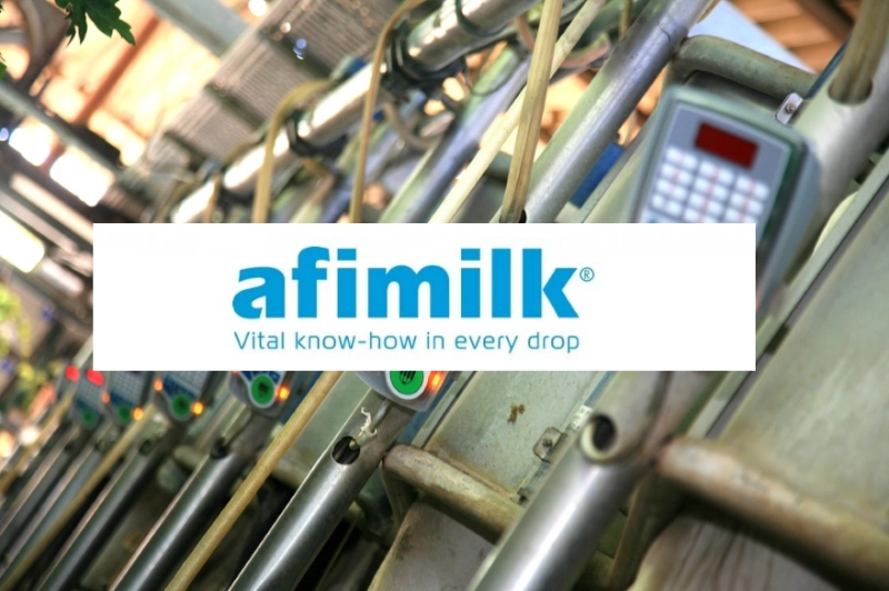 Идентификация коров в доильном зале Afimilk